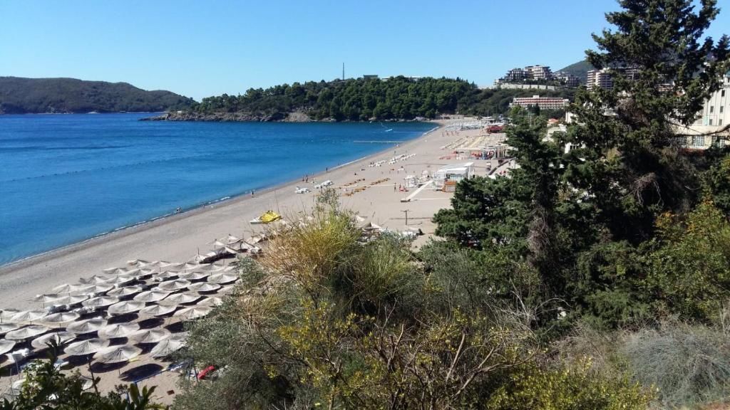 Апартаменты SEA VIEW ONE BEDROOM APARTMENT Бечичи-100
